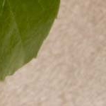 Profile Picture of BeverlyBryant (@beverlybryantj) on Instagram