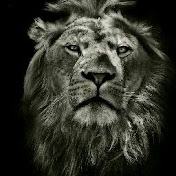 Profile Picture of Allen Shah (@allenshah3014) on Youtube