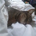 Denis Charbonneau - Instagram Profile Picture of Denis Charbonneau (@denis.charbonneau1) on Instagram