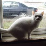 Profile Picture of Robert Mackowski (@robertmackowski) on Instagram