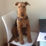 Profile Picture of Kramer Brown (@wendyhodgkins) on Instagram