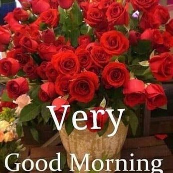 Profile Picture of Deepa Hegde (@deepanhegde77) on Twitter