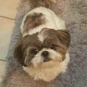 Profile Picture of Steve Dockery327 (@stevedockery327) on Tiktok