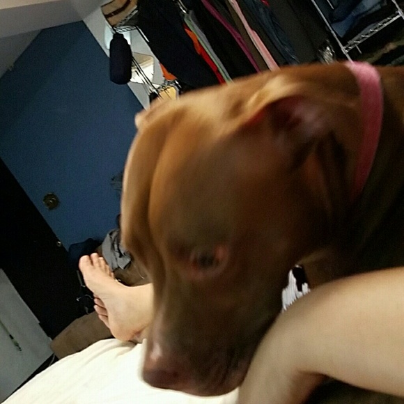 Profile Picture of Ada Palacios (@051582adak) on Poshmark