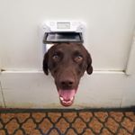 Profile Picture of David Loesch (@david.custom.build) on Instagram