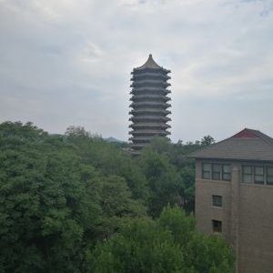 Yiming Liu - Twitter Profile Picture of Yiming Liu (@yimingl81478623) on Twitter