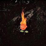 Profile Picture of Adam Chester (@the.jew.bear) on Instagram