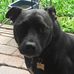 Profile Picture of Reg Huxley (@reg.huxley) on Facebook