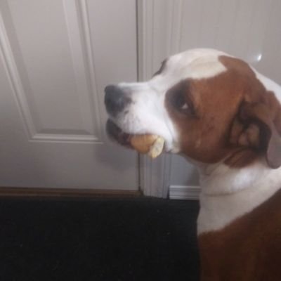 Profile Picture of Edward L Hook (@EdwardLHook1) on Twitter