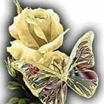 Profile Picture of zander  26 (@sandraperezballesteros) on Instagram