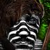 Profile Picture of Danny Burger (@danny.burger.79) on Facebook