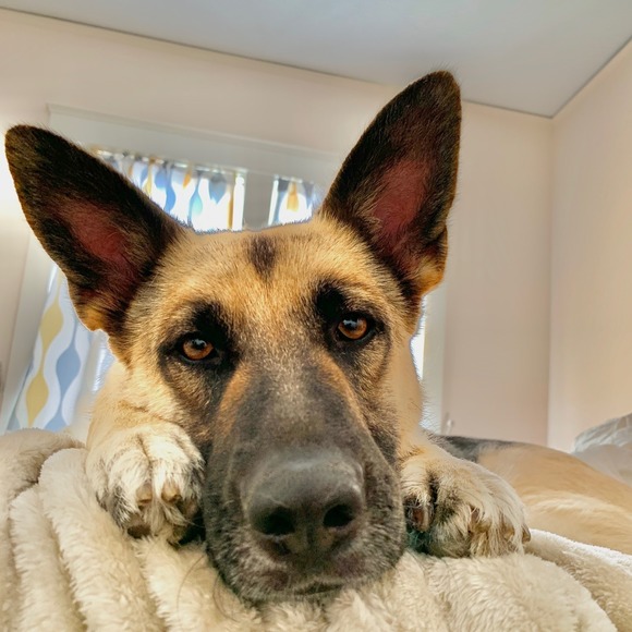 Profile Picture of Sam Wasserman (@samwla) on Poshmark