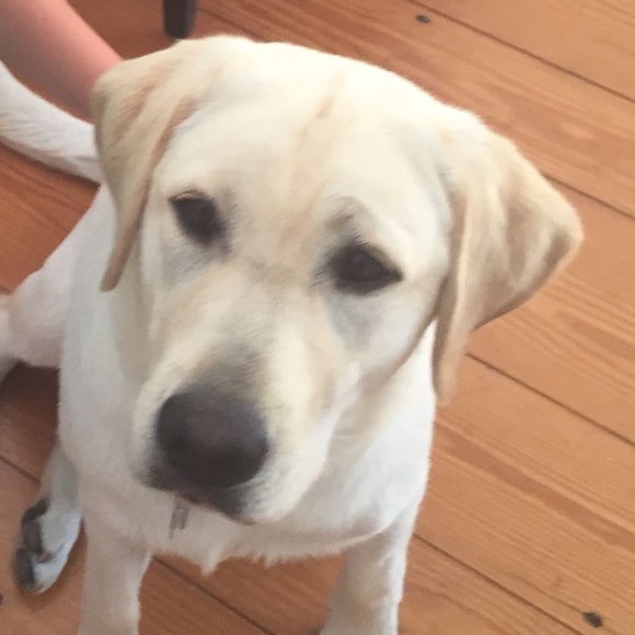 Profile Picture of Jeanette Tully (@jeanettetully) on Poshmark