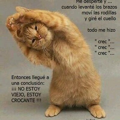 Profile Picture of Gary Cuellar (@cuellar_gary) on Twitter