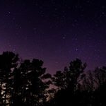 Profile Picture of NariahBackup (@nariahbackup) on Instagram