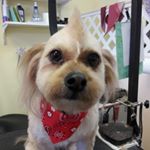 Profile Picture of James Cordes (@phoenix62758) on Instagram