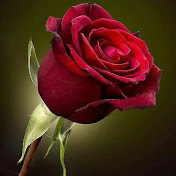 Profile Picture of Nora Emmanuel 777 (@noraemmanuel7772) on Youtube