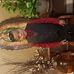 Profile Picture of Pascual Gomez (@pascual.gomez.9085) on Facebook