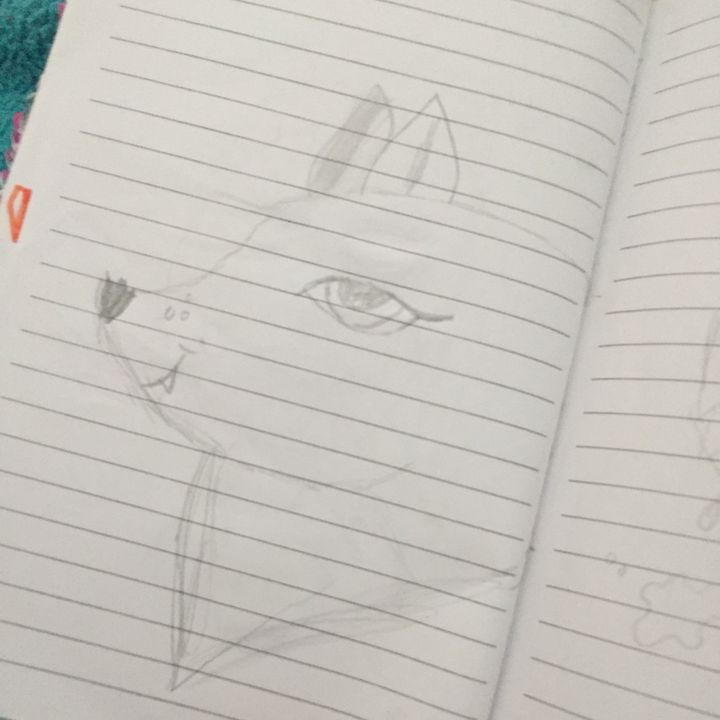 Profile Picture of   TikTok de Kanin_ Bosnien... (@rita_butterfly) on Tiktok