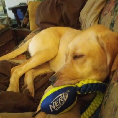 Profile Picture of Kevin Suber (@kevinsuber7) on Twitter