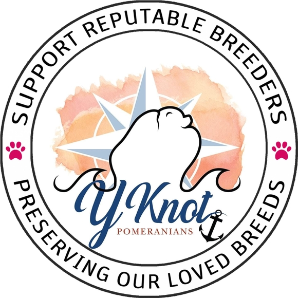 Profile Picture of Beverly Allen (@yknotpoms2) on Poshmark