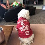 Profile Picture of Haley Parrott Kickland (@haleykickland) on Instagram