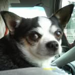 Profile Picture of David Jacob Finstad (@david.j.finstad) on Facebook