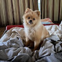 Profile Picture of Josh Brink (@josh-brink-15) on Quora