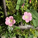 Profile Picture of Arna Karl (@Reezuuuuu) on Facebook