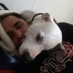 Profile Picture of Eddie Engstrom (@HeywoodJablohme123) on Facebook