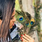 Profile Picture of Aneeta Anna Joseph (@zilent_eyz) on Instagram