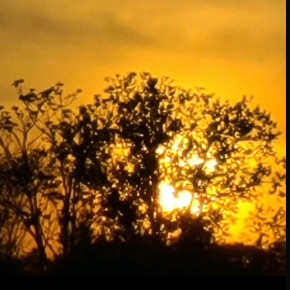 Profile Picture of Axel Vandegrift (@jayfeather5150) on Poshmark