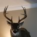 Profile Picture of Josh Blevins (@josh.blevins.3760) on Facebook