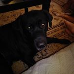 Profile Picture of Mike Ogden (@mike.ogden.3591) on Instagram