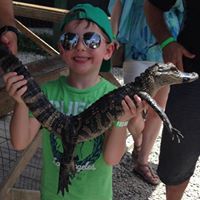 Profile Picture of Dovi Fogel (@dovifogel) on Pinterest