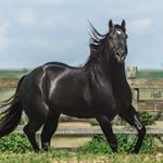 Profile Picture of Melba Vasquez (@mdelpozo.v) on Instagram