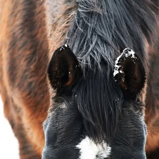 Profile Picture of Inactive (@hoffmanjasmine) on Instagram