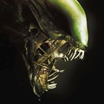 Profile Picture of josh (@joshlorenzen72) on Instagram