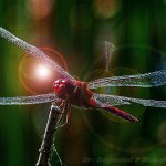 Profile Picture of Peter Hadley (@pete.hadley) on Instagram