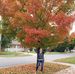 Profile Picture of Robin Davisson Taylor (@robin.davissonvancamp) on Facebook