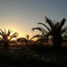 Profile Picture of Davide Previte (@davide5518) on Pinterest