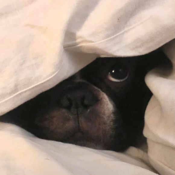 Profile Picture of Michael Burch (@dv8rrr) on Poshmark