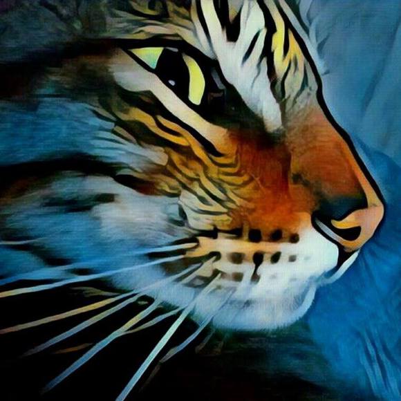 Profile Picture of Teresa Adebahr (@ruddicat) on Poshmark