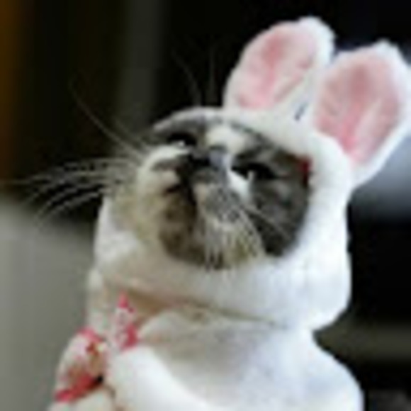 Profile Picture of Jeffrey Stenberg (@jeffreystenberg) on Poshmark