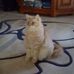 Profile Picture of Jan Davey (@jan.davey.758) on Facebook