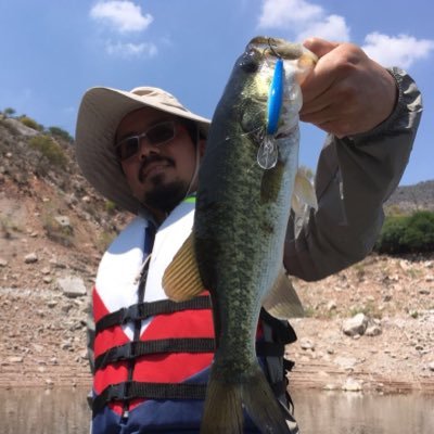 Profile Picture of Marco Toledo (@Marco_Tol) on Twitter