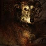 Profile Picture of brian.parkhurst (@brian.parkhurst) on Instagram