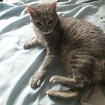 Profile Picture of Rolando Alex Alejos Jara (@rolandoalexalejosjara) on Instagram