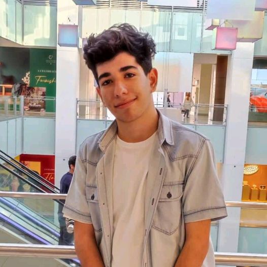 Profile Picture of Andrew (@mrsprinklezz) on Tiktok