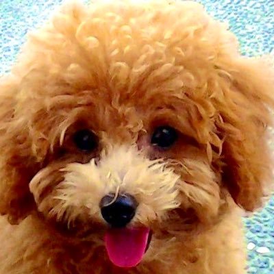 Profile Picture of Jacob Grenier (@jacobgrenier8) on Twitter